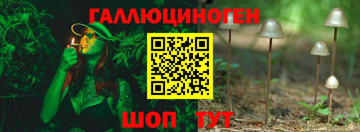 Псилоцибиновые грибы Psilocybe  Вход с VPN  Рославль  Псилоцибиновые грибы Psilocybe 